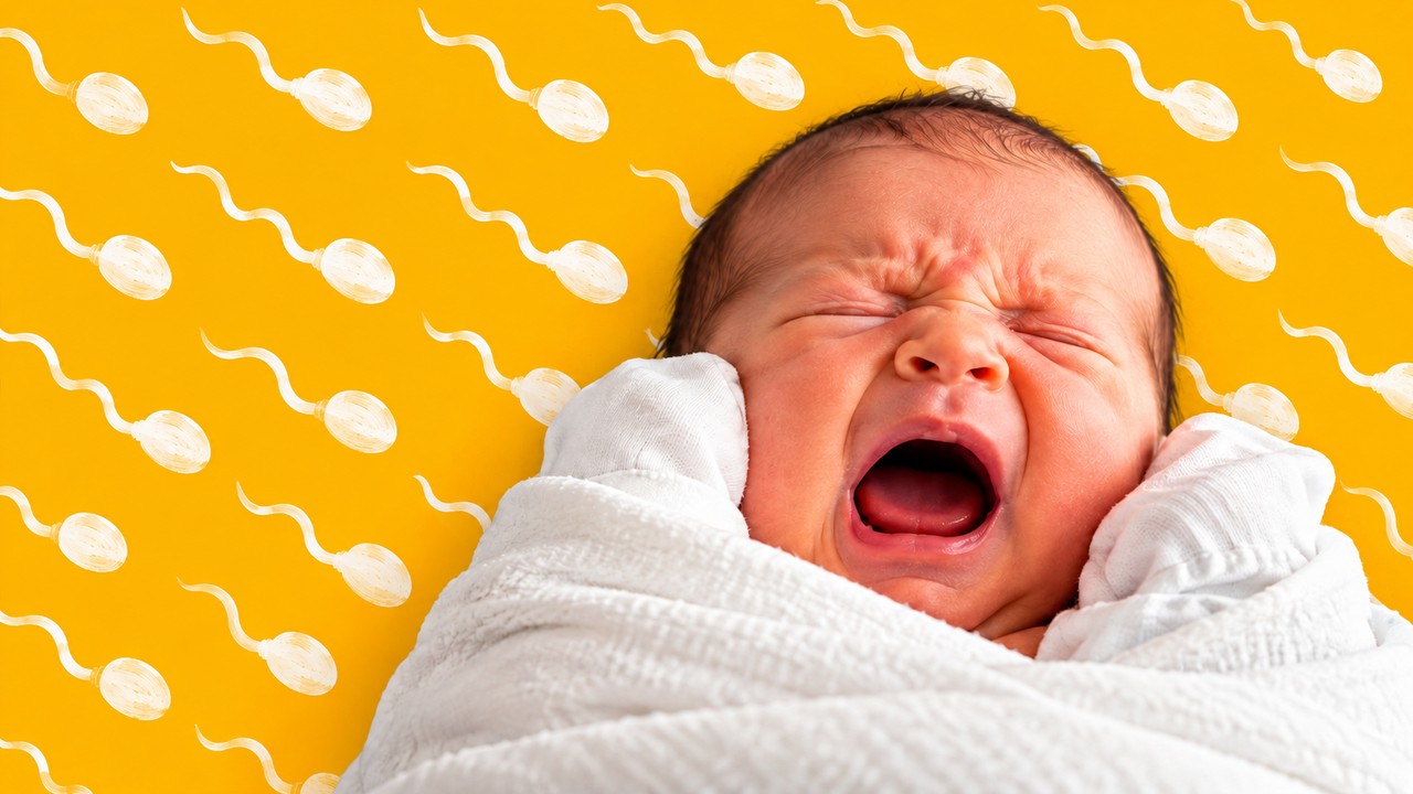 Sperm Donor Parental Rights